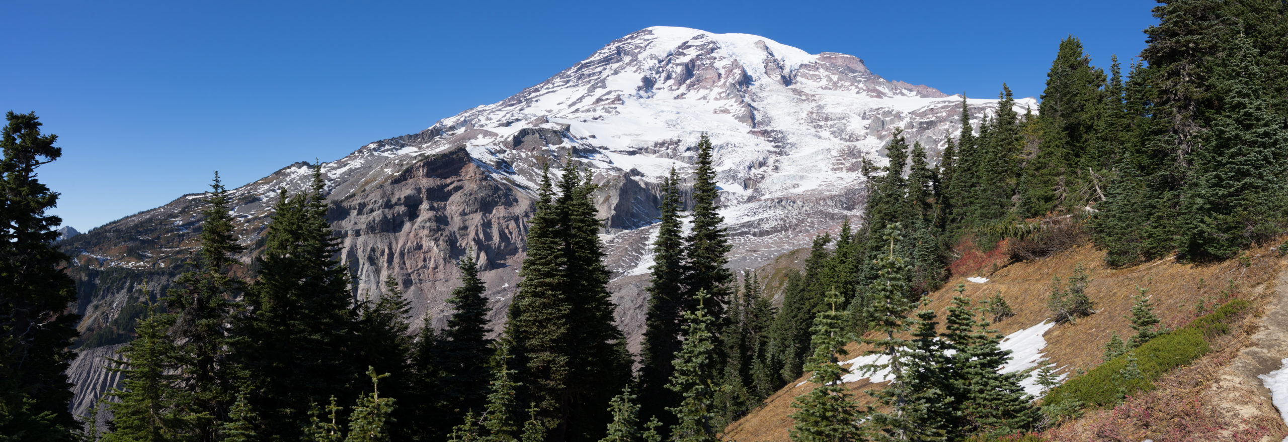 Mt Rainier as seen from the Paradise recreational area