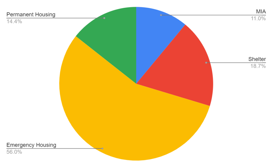 Pie chart of placements into housing and shelter